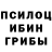 Псилоцибиновые грибы мицелий WiFFo