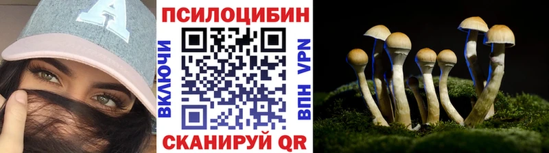 Псилоцибиновые грибы мицелий Назарово